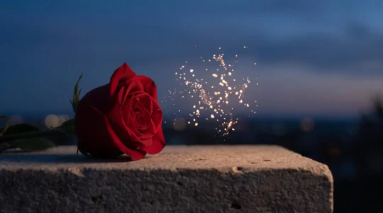 Une rose posée près d'un nuage de particules lumineuses évoquant la rencontre entre romantisme traditionnel et connexion numérique